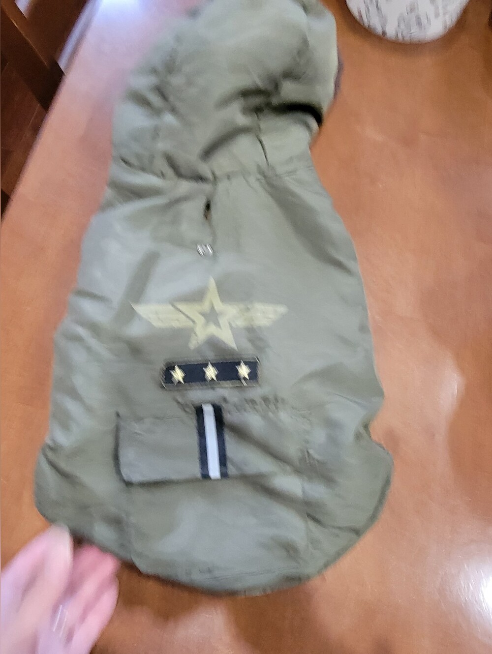 Doggy jacket for $10.